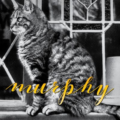 Murphy, happy instrumental music by Composer Jennifer Clark